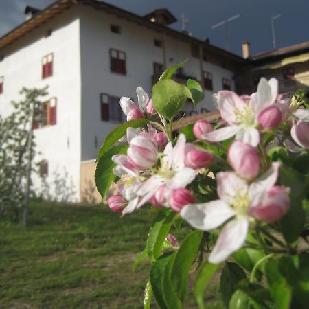Willa Agritur Maso San Bartolomeo Romeno Zewnętrze zdjęcie