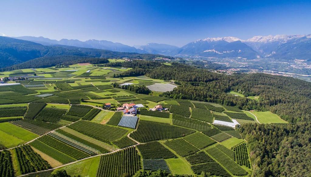 Willa Agritur Maso San Bartolomeo Romeno Zewnętrze zdjęcie