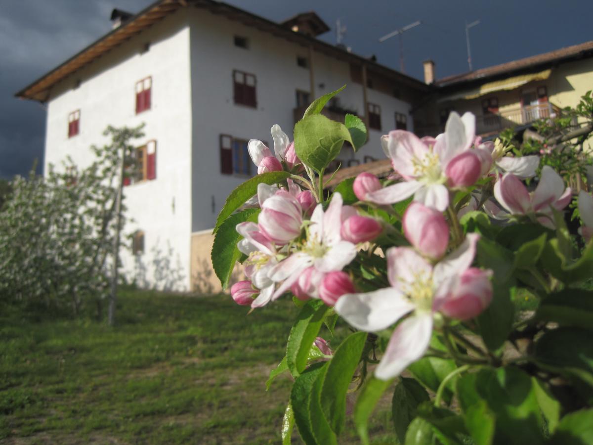Willa Agritur Maso San Bartolomeo Romeno Zewnętrze zdjęcie